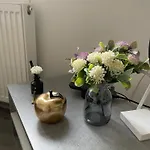 Kamche Appartement *