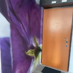 Appartement Kamche *