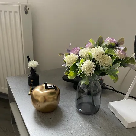 Kamche Apartamento *