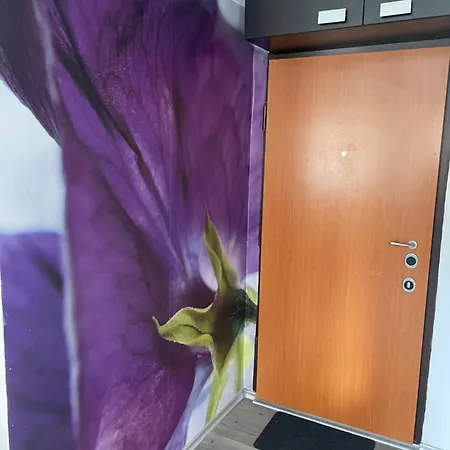 Apartament Kamche *