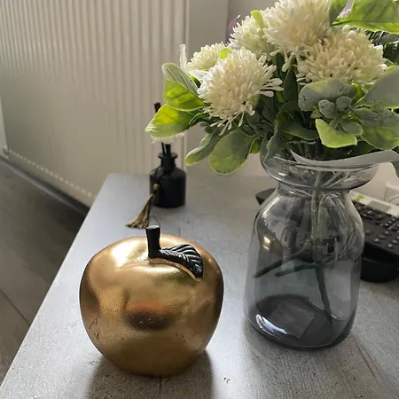 Kamche Apartament